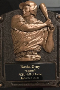 David Gray